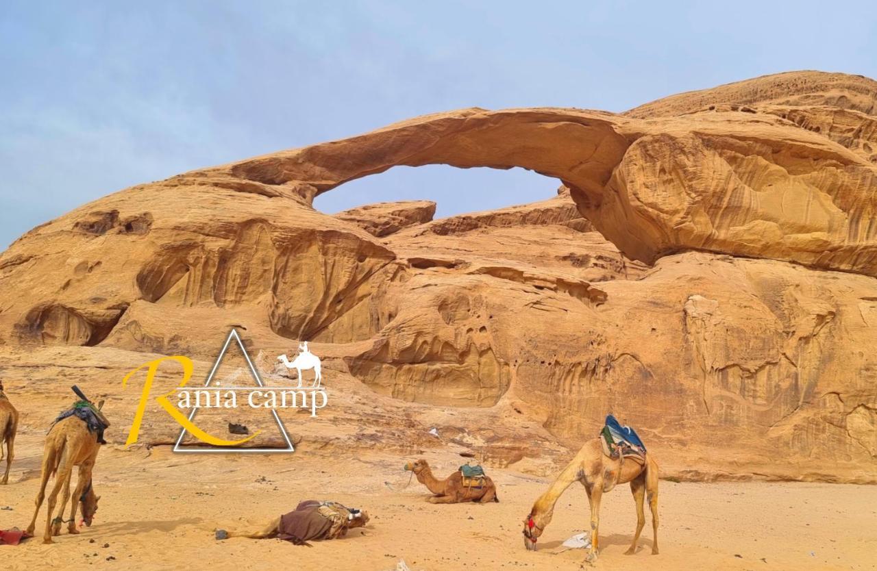 Wadi Rum,Rania Camp Dış mekan fotoğraf