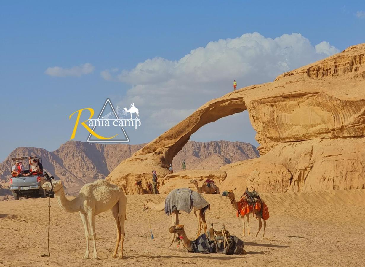 Wadi Rum,Rania Camp Dış mekan fotoğraf